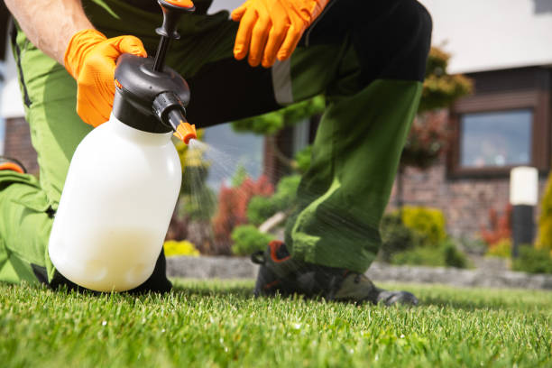 Best Termite Control Services  in Crowley, TX