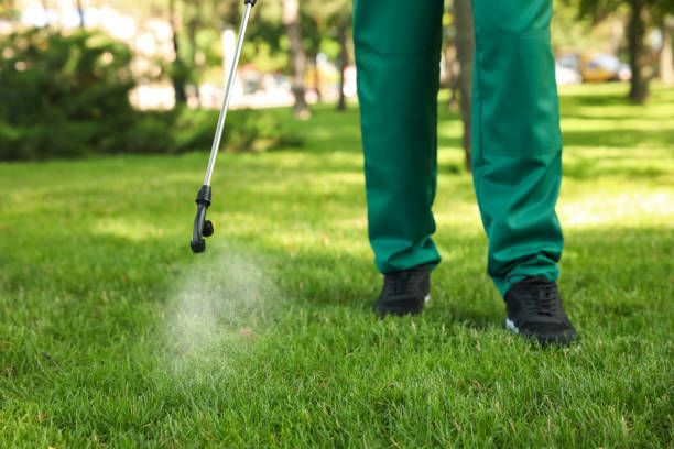 Best Emergency Pest Control  in Crowley, TX