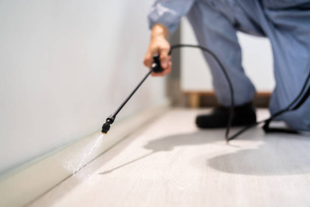 Professional Pest Control in Crowley, TX