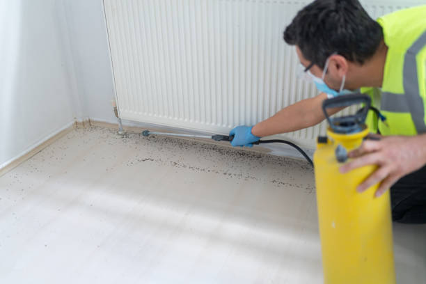 Best Pest Control Near Me  in Crowley, TX