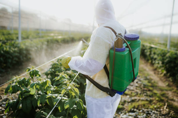 Best Commercial Pest Control Services  in Crowley, TX